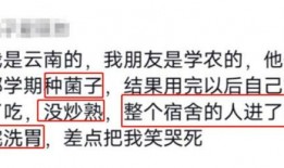 幽默吃瓜先生小说,笑料横生的奇幻食界之旅