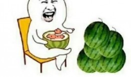 娱乐吃瓜酱蠢人,蠢人生涯的趣味解读