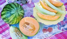 梦见吃小瓜是什么意思,吃小瓜的寓意与象征