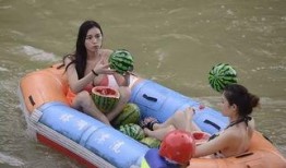 娄底吃瓜网,揭秘本地热点事件，带你领略娄底生活百态