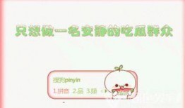 吃瓜输入法,吃瓜输入法带你领略网络热点的魅力