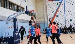 爱篮球的吃瓜群众