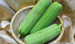 水瓜吃有什么效果,润肠通便，美容养颜的秘密武器