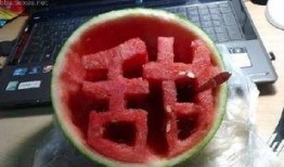 宿舍吃瓜照,揭秘校园生活趣味瞬间