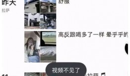 吃瓜卓仕琳,揭秘娱乐圈背后的故事与真相