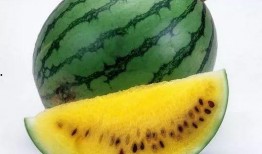 西瓜特效吃瓜爆料,一场夏日清凉的狂欢盛宴