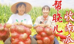 梦见和姐姐摘瓜吃,与姐姐共摘瓜果的甜蜜时光