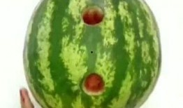 花式吃蜜瓜方式,创意花式吃法，解锁夏日清凉新体验