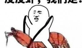 吃瓜套路小说,揭开娱乐圈的神秘面纱