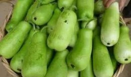 葫芦瓜咋样吃呢,探索美味与健康的完美结合