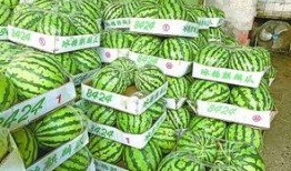 武汉吃瓜路人,见证城市变迁的民间观察者