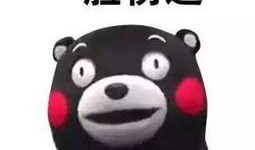 懵吃瓜表情,揭秘网络迷因背后的趣味与思考