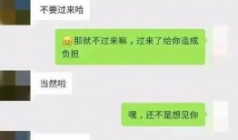 聊天记录吃瓜文案,一场吃瓜盛宴背后的真相