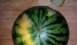 优雅吃瓜的物品,尽在优雅吃瓜时光