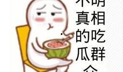 懵吃瓜表情,揭秘网络迷因背后的趣味与思考