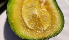 云岚吃瓜,揭秘娱乐圈幕后故事