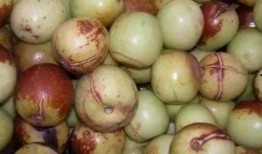 歪果吃瓜,揭秘国际娱乐圈的幕后故事