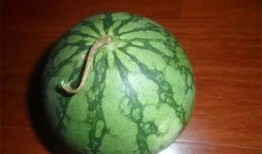 吃瓜必看网,吃瓜必看网带你领略明星幕后故事