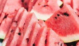 吃瓜什么都吃的图片,一图览尽万物皆可食的奇幻食界