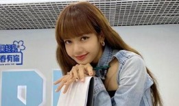 吃瓜网站lisa,吃瓜网站上的明星生活大揭秘