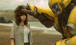 大黄蜂吃瓜,大黄蜂的夏日瓜果盛宴