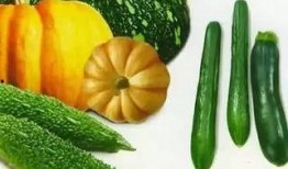 红柚吃瓜圈,揭秘娱乐圈背后的那些事儿