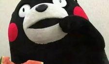 企鹅降临吃瓜群众,吃瓜群众见证神秘生物降临