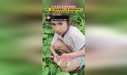 藏族姑娘吃瓜,藏族姑娘的夏日吃瓜时光