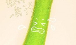 宏式吃瓜,揭秘娱乐圈幕后风云