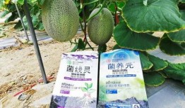 长垣吃瓜后续爆料,揭秘真相与争议