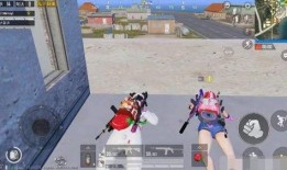 吃鸡和平精英大瓜