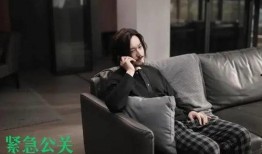 吃瓜群众行业视频,趣味视频背后的故事与现象