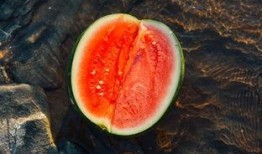 经纬吃瓜,吃瓜群众探秘瓜界风云