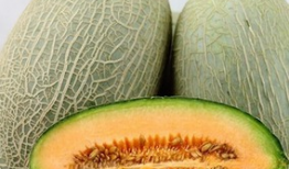 瓜州吃哈密瓜的地方,探寻哈密瓜的甜蜜之源