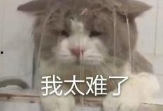 内娱吃瓜处,揭秘娱乐圈幕后风云