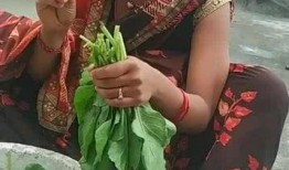 印度女性吃蒲瓜