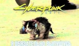 吃卷毛瓜,探寻独特口感与营养的绿色瑰宝