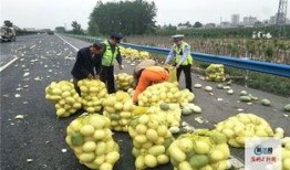 公路上吃瓜,夏日出行好心情