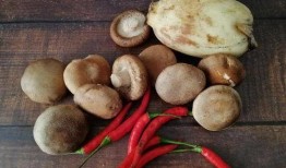 香菇吃瓜,探寻美食界的跨界融合