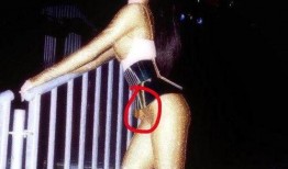 吃瓜网站lisa,吃瓜网站上的明星生活大揭秘