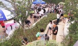 吃瓜群众清江浦,吃瓜群众眼中的繁华盛景