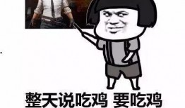 呆瓜不是瓜吃鸡,吃鸡趣事多