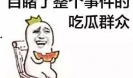 什么梗吃瓜群众,揭秘“吃瓜群众”背后的网络梗文化现象