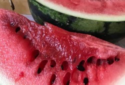 长垣吃瓜后续爆料,揭秘真相与争议