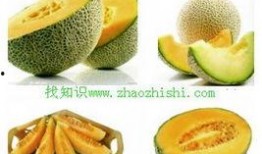 咳嗽吃半个哈密瓜,半个瓜的神奇疗效揭秘