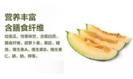 新疆哈密吃瓜,甜蜜诱惑，瓜香四溢的西域珍果