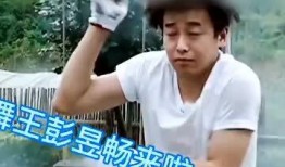 吃瓜群众名场景,网络舆论场中的围观力量