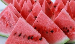 瓜从边上吃越吃越甜,瓜果的奇妙成长之旅