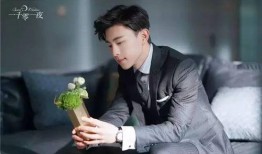 吃瓜群众9527CEO,从网络红人到商业领袖的蜕变之路