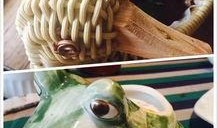 广州密室吃瓜,一场别开生面的“吃瓜”冒险之旅